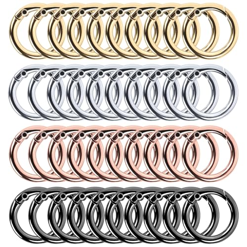 Pavlleen 40 Stück Runde Karabiner Schlüsselanhänger,Karabiner Rund,26 mm Karabinerhaken Klein,Edelstahl Federverschluss,Spaltring Druckknopf Clip,für Schlüsselbund,Geldbörse