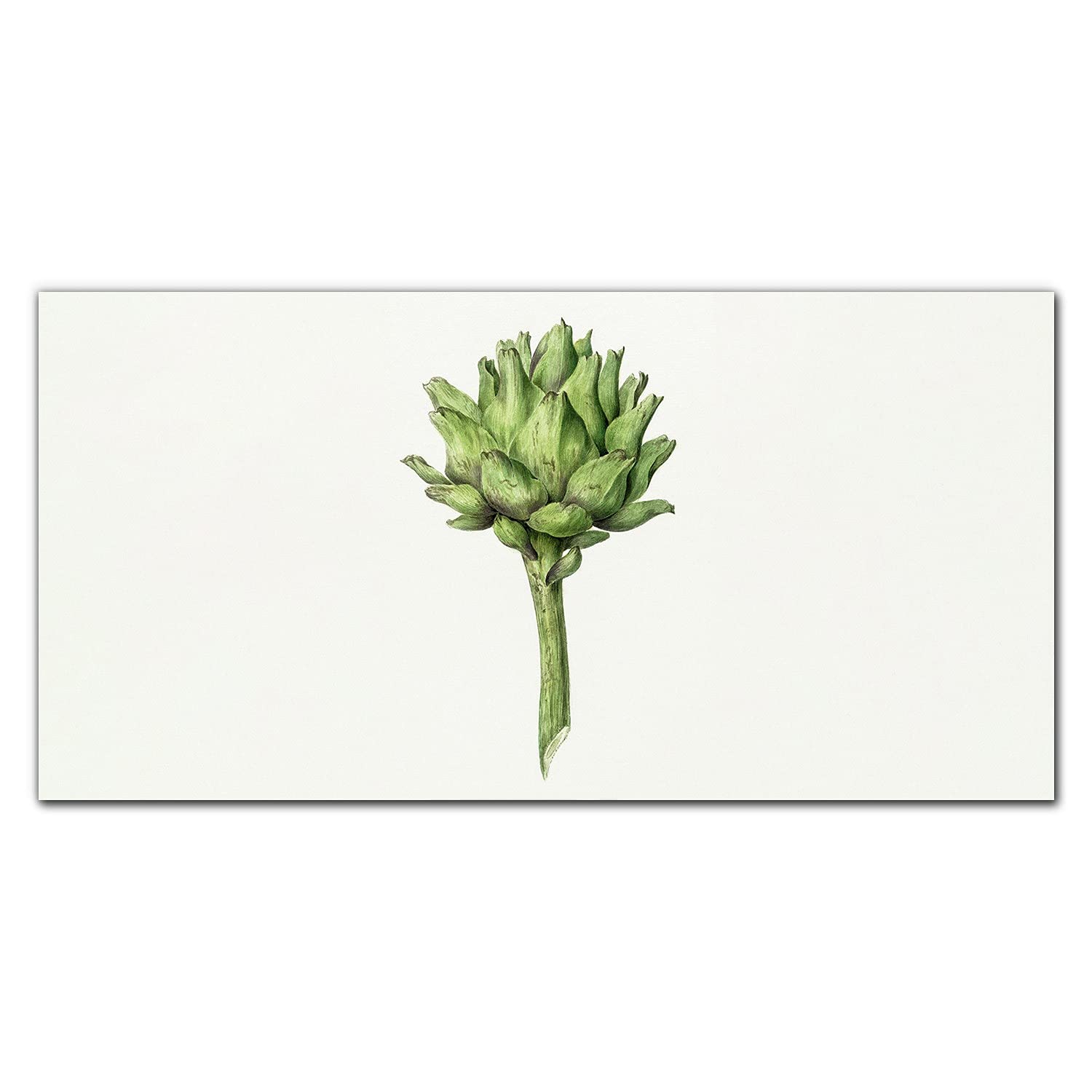 Crédence de cuisine 100x50cm adhésive pour décorer un mur de cuisine en fleurs