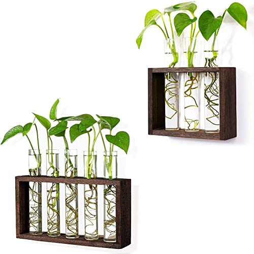 Pacdona Wall Mounted Hanging Glass Test Tube Planter Propagation Station Glass Vase Rack With Wood Stand, Plant Terrarium Holder For Hydroponics Succulent Air Bamboo Plants With Test Tube #TOP7