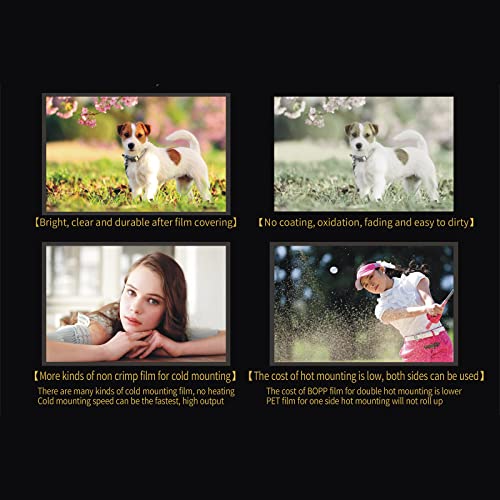 Laminatrice per Film a Freddo A2+ Macchina per