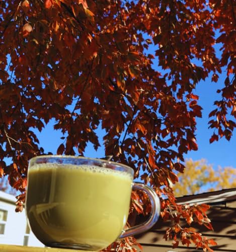 Té orgánico matcha japonés 150g en polvo miniatura 6