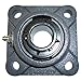 Flange Bearing, 4-Bolt, Ball, 1-1/4" Bore