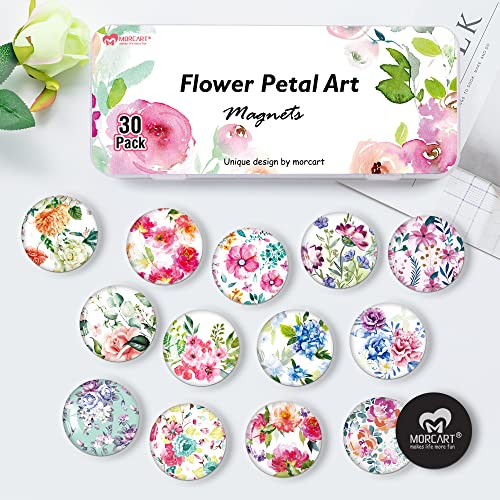 Imanes decorativos redondos MORCART pack 30 piezas miniatura 6