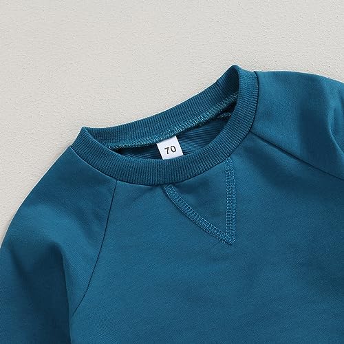 Toddler Baby Boy Sweatsuits Fall Winter Clothes Set Long Sleeve Tracksuits Crewneck Sweatshirts & Pants Outfit4