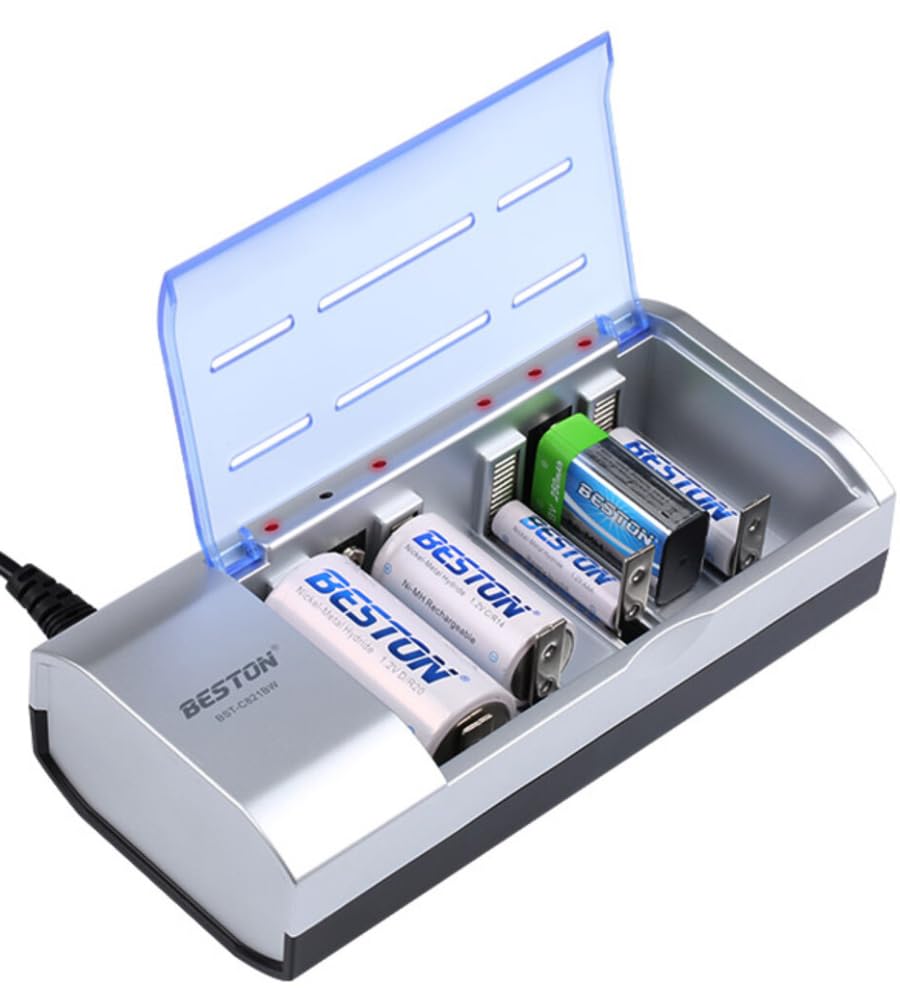 Coverzone Beston (AA-AAA-C-D-9V-SC) Universal Tüm Boylar Pil Şarj Cihazı BST-C821BW