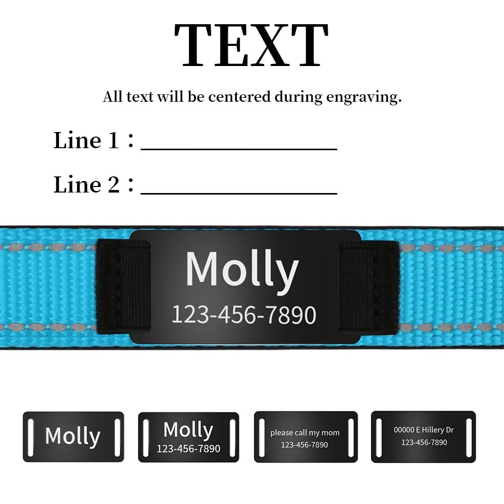 Collare Cane Riflettente Personalizzato - Con Targhetta In Acciaio Inox, Imbottito E Sicuro - Foto 11