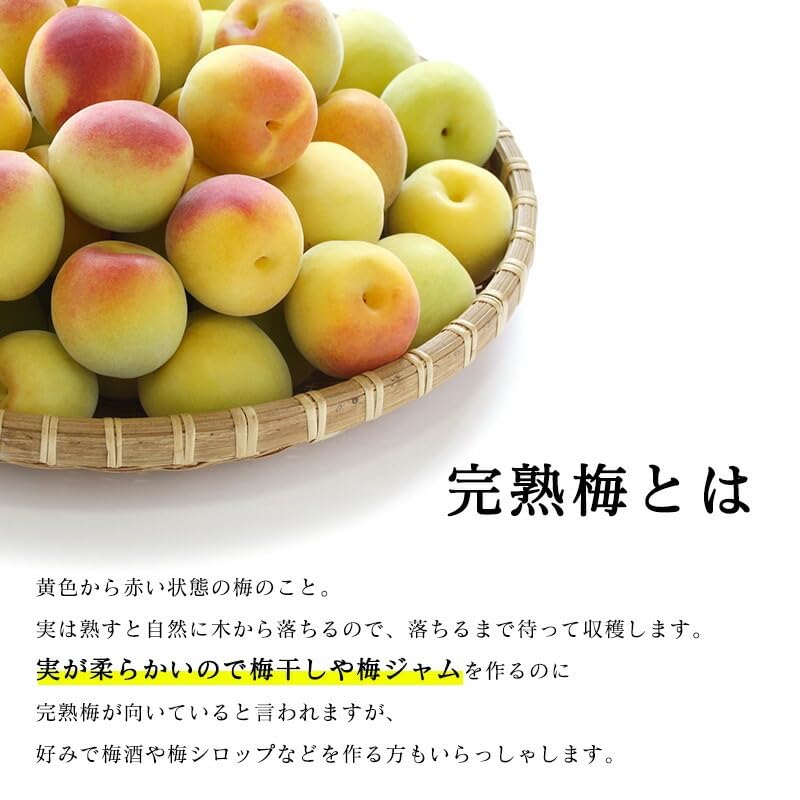 Amazon | 南高梅 生梅 完熟梅 訳あり サイズ混合(L～3L) おまかせ 