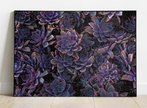 Bboldin Impossible Purple Succulent Puzzle 1000 Pieces, Hard Difficult Puzzles For Adult, Challenging Plant Jigsaw Puzzle As Succulent thumb #1