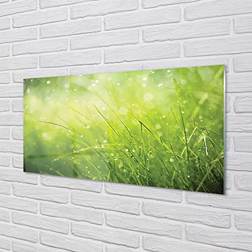 Impression sur verre Tulup 100 x 50 cm tableau décoration murale - 2
