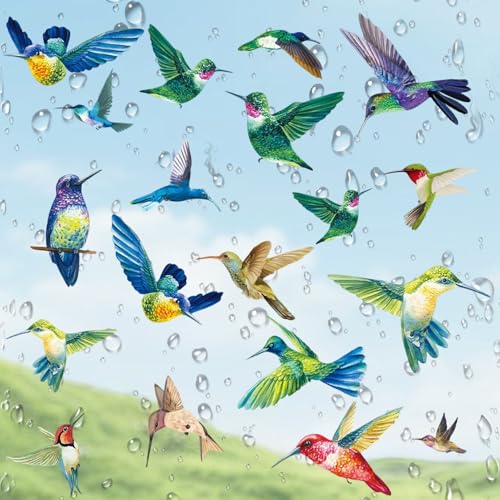 Stickers Fenetre Autocollant Fenetre Anti-Collision Motif Colibri Electrostatique Réutilisable Impression Recto-Verso Pour Empêcher Les Oiseaux de Heurter...