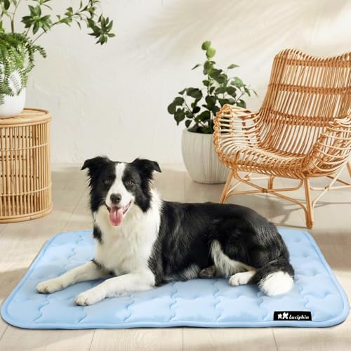 luciphia Tappetino Refrigerante Cane e Gatti,Tappeto per Cani,Cuscino Rinfrescante Estivo,Cuccia Lavabile per Cani,Coperta Rinfrescante per Cani di Taglia Grande,Media e Piccola Blu 51 * 77cm