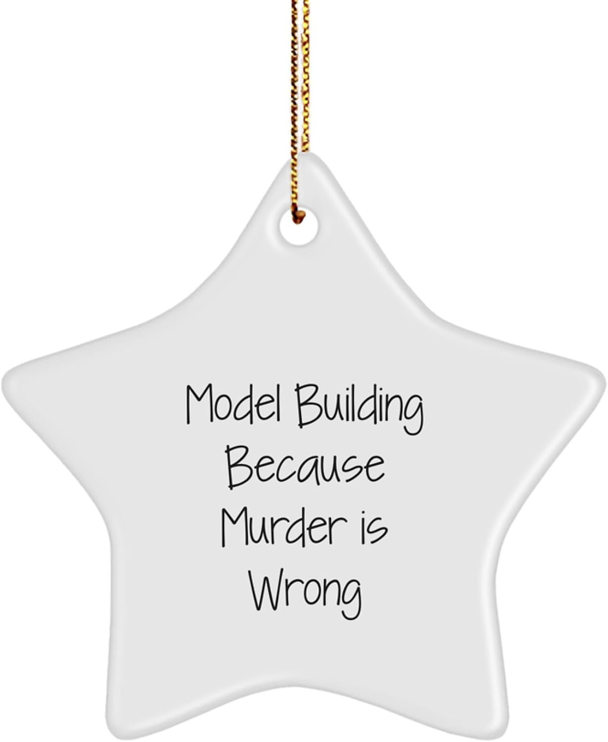 Model Building Fun Gifts from Family - Star Ornament with Humorous Quote, Perfect for Model Building Enthusiasts, Christmas Unique Gifts for Men, Women, Friends, Coworkers, Family