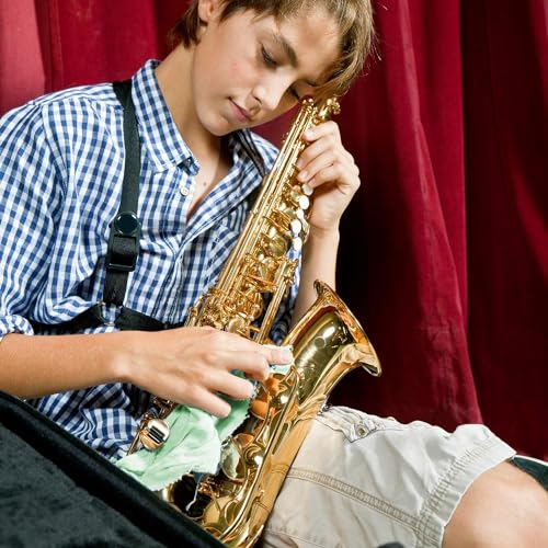 image for AAwipes Microfiber Plush Polishing Cloths for Musical Instruments (12