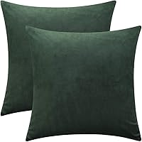 Vista 30 de Juego de 2 fundas de almohada de terciopelo para sofá y cama, 18 x 18 pulgadas, color aguamarina