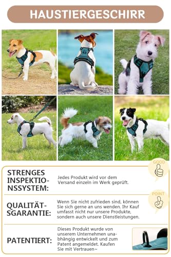 BaoCheng Hundegeschirr Anti Zug Hundegürtel,Kleine/mittlere/große Hunde,Atmungsaktives Mesh, Einfaches Be-und Entladen,3 Schnallen, Sicherheit,Entlastet Husten,Reflektierend(Dunkelgrün,M)