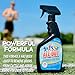 All-Out Sports Odor Eliminator Spray & Deodorizer | Perfect for Smelly Gloves, Hat, Bags, Helmets, Jerseys, Pads, Gear, Shoe & All Other Odors.| Best Formula | 24 oz Spray Bottle (AO503) | Fresh Scent