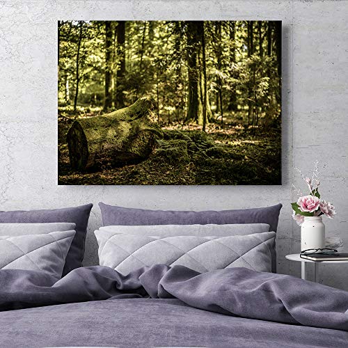 Impression sur toile de qualité supérieure paysage forêt marron - 3
