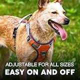 Embark Pets Adventure Dog Harness, Easy On and Off with Front and Back Lead Attachments & Control Handle - No Pull Training, Size Adjustable and No Choke (XL Orange) - Image 5