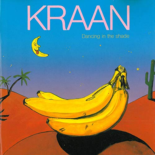 Dancing in the shade [Audio CD]