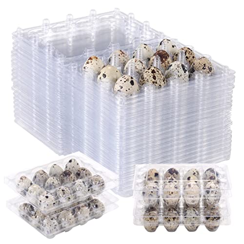 LayHyand 60 Pcs Quail Egg Cartons Square Dozen Egg Boxes Classical 3x4 Style Holds Up to Twelve 12 Count Small Quail Eggs Basket Pigeon Eggs Bulk Carton Quail Egg Tray Container for Refrigerator