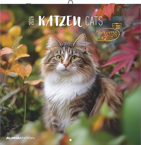 Alpha Edition - Katzen Kalender 2026 – Broschürenkalender 30x30 cm (30x60 cm geöffnet) – Wandkalender & Bildkalender für Katzenliebhaber – mit Feiertagen, Monatsübersichten & Platz für Notizen: Cats