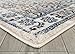 5934 Distressed Ivory 8 x 10 Area Rug Carpet Large New