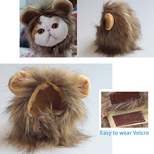 Snik-S Cat Wigs Lion Mane Wig With Ears- Fancy Costume Hair Lion Hat For Halloween And Cosplay Party #TOP5