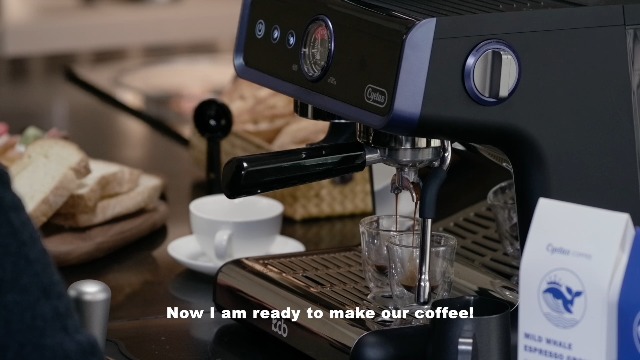 Amazon.com: CYETUS: Semi-auto Espresso Machine