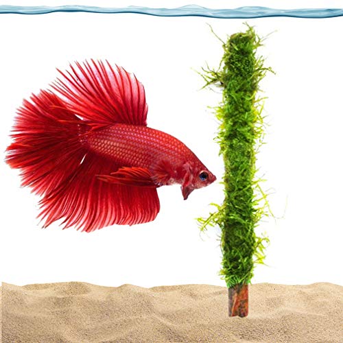 Luffy Moss Bamboo Stick