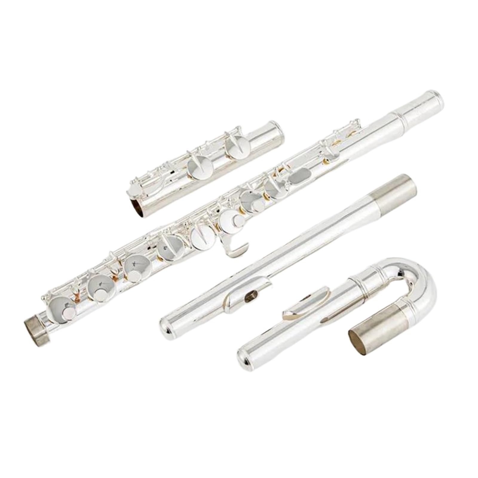 Professionelle Anfänger-Altflöte Für Erwachsene G-Stimmung 16 Geschlossene Klappen Versilbert Professionelles Musikinstrument