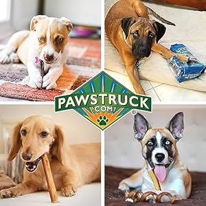 Pawstruck-All-Natural-9-Bully-Sticks-for-Dogs-Best-Long-Lasting-Rawhide-Free-Low-Odor-Grain-Free-Dental-Chew-Treat-Healthy-Single-Ingredient-100-Real-Beef-1-lb-Bag - Cucciolini Doodles   Pawstruck-All-Natural-9-Bully-Sticks-for-Dogs-Best-Long-Lasting-Rawhide-Free-Low-Odor-Grain-Free-Dental-Chew-Treat-Healthy-Single-Ingredient-100-Real-Beef-1-lb-Bag