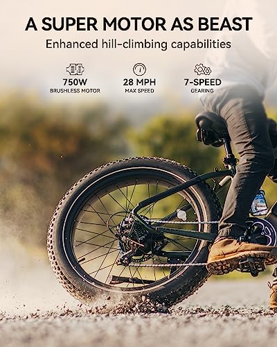Heybike Brawn 750W Electric Bike For Adults,28Mph 26'' Fat Tire Ebike With 48V 18Ah Removable Battery,Off Road Electric Mountain Bike,Hydraulic Front Fork Suspension Electric Bicycles(Brawn-Green) #TOP1