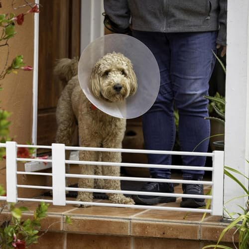 Barrière pour animaux de compagnie multifonction rétractable et stable