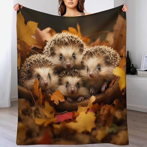 Couverture polaire hérisson moelleuse lavable pour éliminer les frissons