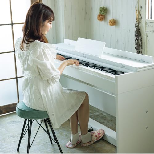 カリーナ Carina 電子ピアノ 88鍵盤 ハンマーアクション鍵盤 SR0088CLS290ZE0088LF0088LUP0088 の商品画像 1