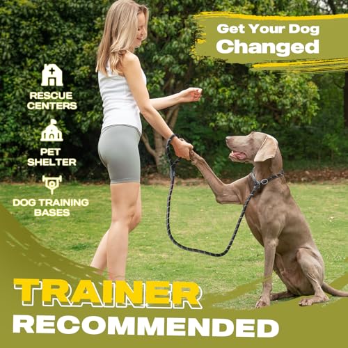 Durable, reflective slip lead