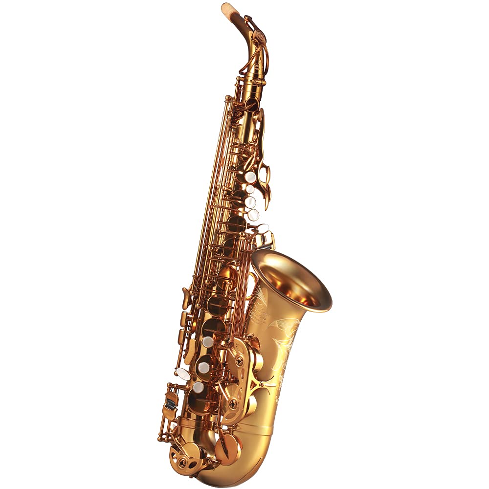 Rollins Saxophone alto RSA-9901,E flat Selmer 802-Key,Matière laiton, Or