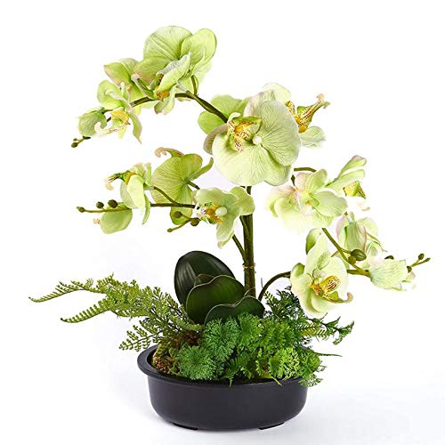 Fleurs de simulation phalaenopsis en pot avec mini bonsaï créatif artisanal - 6