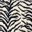 White Black Tiger