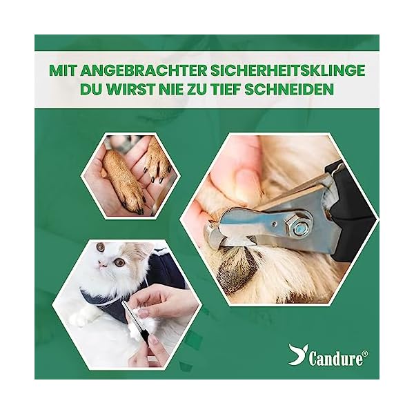 Candure Profi Krallenschere für Hunde und Katzen mit Nagelfeile Edelstahl Krallenzange Hohe Qualität Krallenpflege Schneider für Haustiere Nagelknipser groß Mit Sicherheitsschutz – Bild 4