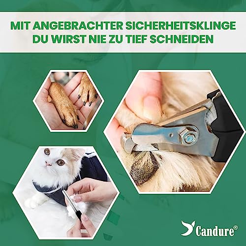 Candure Profi Krallenschere für Hunde und Katzen mit Nagelfeile Edelstahl Krallenzange Hohe Qualität Krallenpflege Schneider für Haustiere Nagelknipser groß Mit Sicherheitsschutz (Klein (S), Grün)
