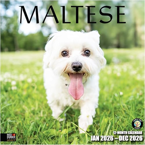 RED EMBER Select - Maltese 2026 Wall Calendar 12 Month