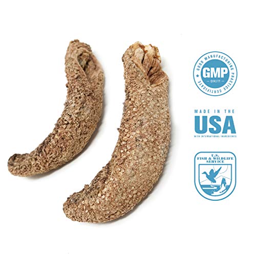 SB Organics Alaskan Red Medium - Wild Caught Sea Cucumber Dried All Natural Nutritious - 8 oz.