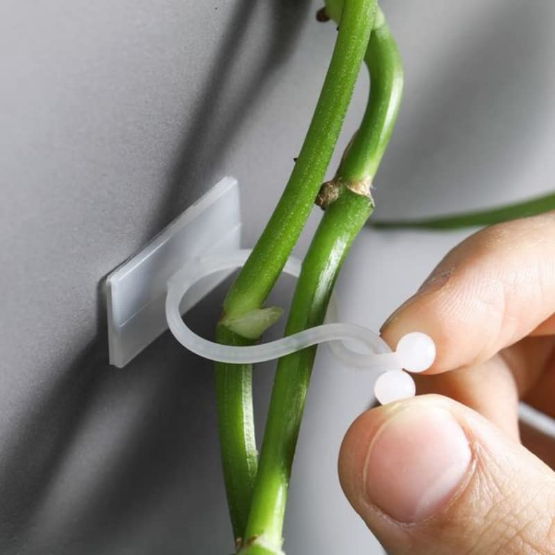 Beeya Gardening® 30 Pcs Plant Wall Climbing Fixing Clips for Hanging Plants | Plant Support Garden Clip, 30 Pieces Durable Plastic Wire Holding Set (White Color) Easy to Set (B0BPN5ZLXT) Amazon Price History, Amazon Price Tracker