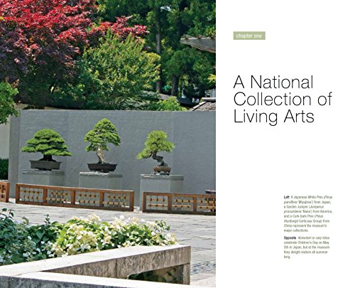 Bonsai And Penjing: Ambassadors Of Peace & Beauty #TOP2