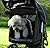 VIAGDO Luxury Dog Stroller Jogger for Small Medium Dogs & Cats, No-Zip Pet Stroller Foldable 3-Wheel Cats Stroller with Suspension System/Link Brake/One-Hand Fold, Max. Loading 55 LBS (Black)