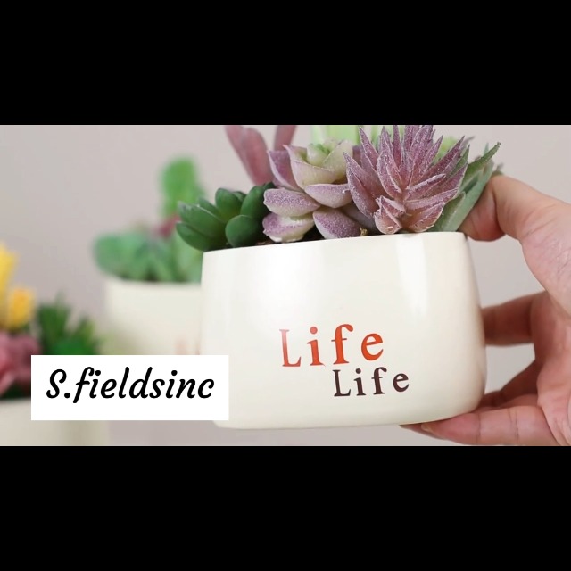 Amazon｜S.fields.inc 人工多肉植物セット 造花 ミニ 人工観葉