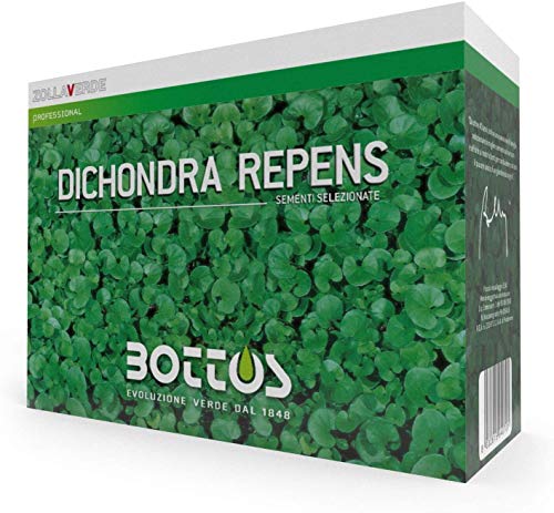 Bottos DICONDRA REPENS, Semi di Dichondra, Tappeto Erboso a Bassa Manutenzione, Alta Densità,...