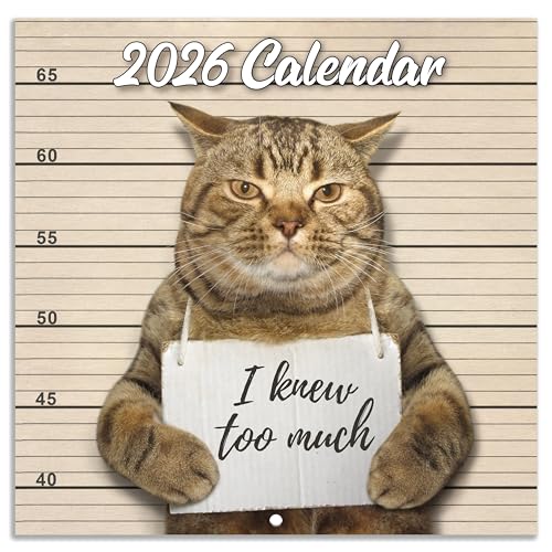 Calendario de pared 2024 – Gato divertido 2024, fotos de memes de regalo de broma de enero de diciembre, 12 x 24 pulgadas abiertas, mejor para regalo de elefante blanco, broma marrón (YAMMBQBQMD24A01)