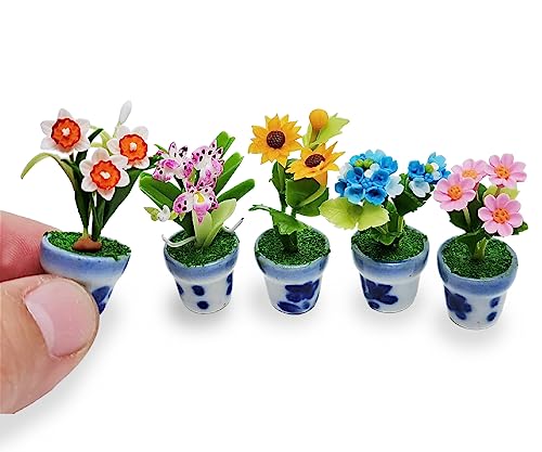 Plante miniature pour corriger le manque de réalisme déco - 3
